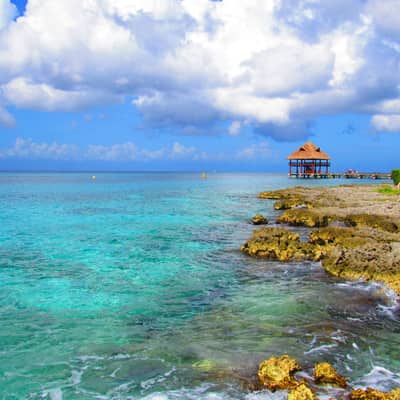 Snorkelling the reef